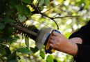 makita hedge trimmer recall