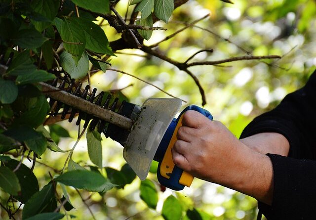 makita hedge trimmer recall