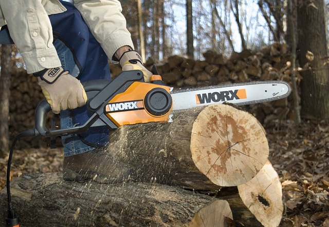 chainsaws at harbor freight tools