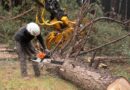 how do you use a miter saw