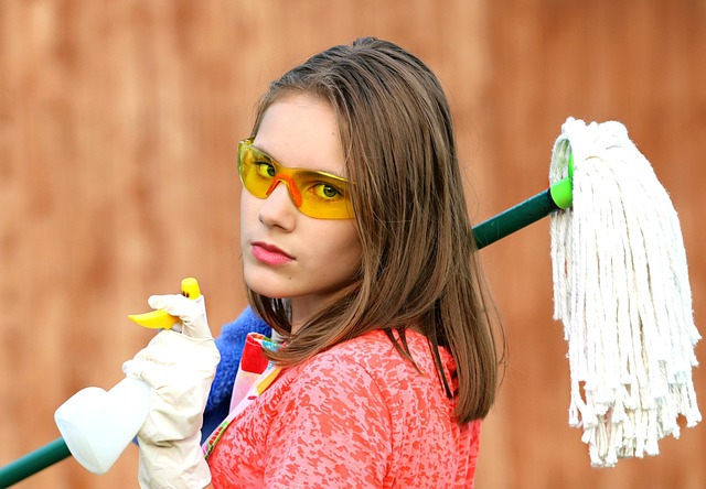 pressure cleaner reviews