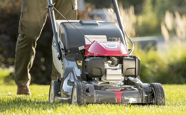 ryobi lawn mower