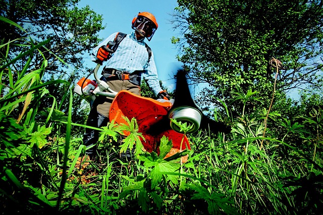 ryobi weed trimmer