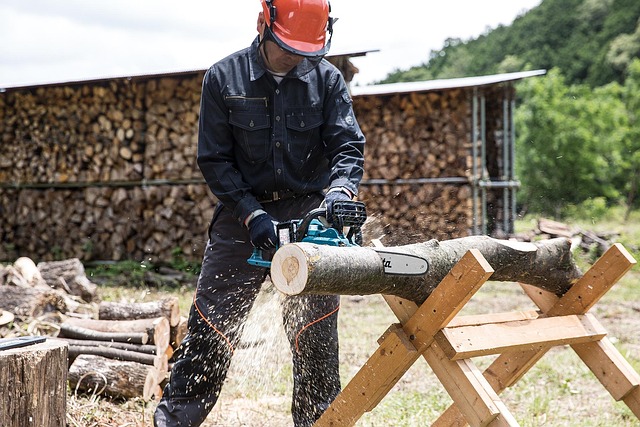 battery chainsaw reviews
