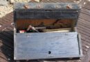 table saw recall