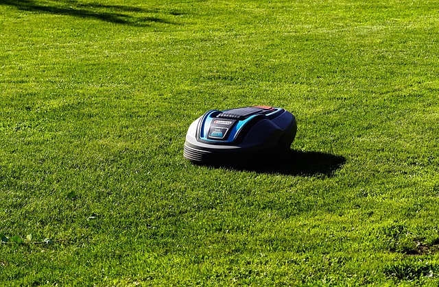 ryobi electric mower