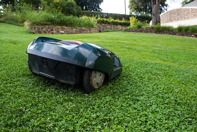 ryobi electric lawn mower