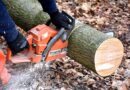 stihl chainsaw gas cap recall