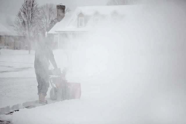 makita snow blower