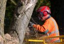 stihl chainsaw recall