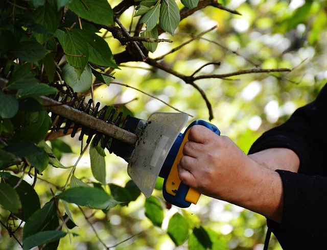 ryobi weed trimmer