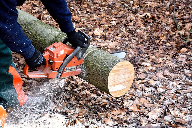 stihl chainsaw gas cap recall
