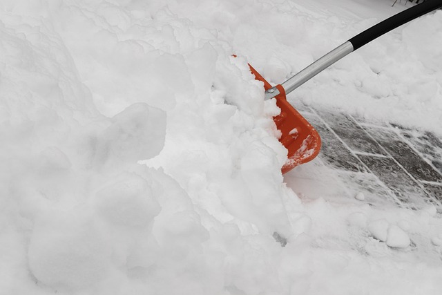 ryobi snow shovel