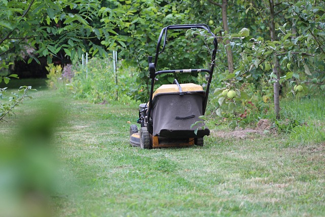 ryobi lawnmowers