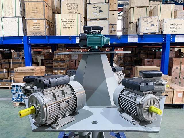 bldc motor drive system