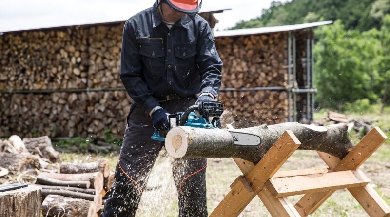 chainsaw, worker, ppe, chainsaw, chainsaw, chainsaw, ppe, ppe, ppe, ppe, ppe