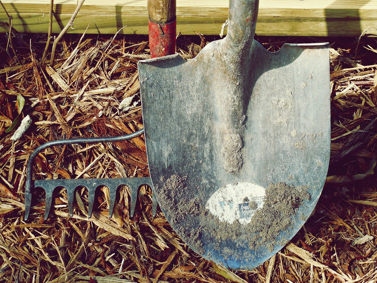 shovel, rake, dirt, farm, garden, nature, hand tools, labor, metal, tools