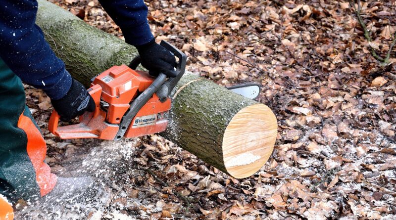 lumberjack, chainsaw, woodwork, tree trunks, lumber, lumberjack, chainsaw, chainsaw, chainsaw, chainsaw, chainsaw