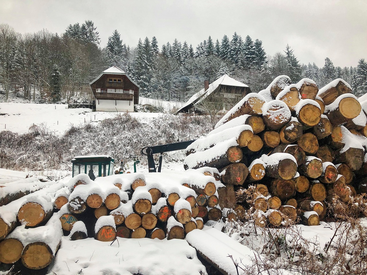 forest, fog, wood, sawmill, black forest, nature, mountain, hillside, snow, mystical