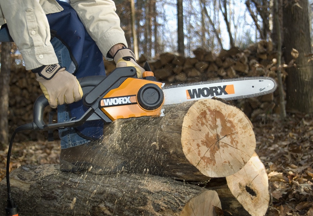 chainsaw, wood, nature, tree