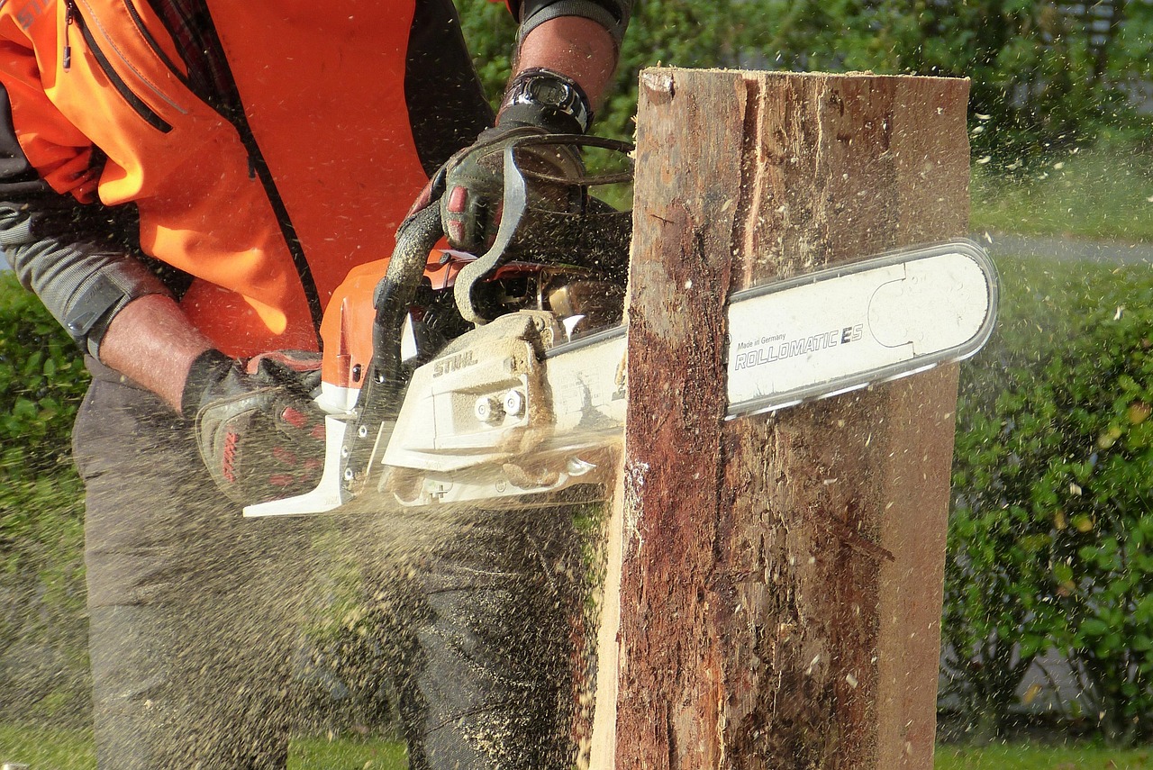 wood, chainsaw, tree, nature, artwork, sculpture, felling, wood art, work, tree pruning