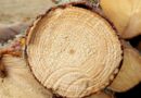 logs, sawn, wood industry, wood, stockar, sawmill, sawmill, sawmill, sawmill, sawmill, sawmill