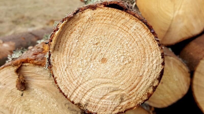 logs, sawn, wood industry, wood, stockar, sawmill, sawmill, sawmill, sawmill, sawmill, sawmill