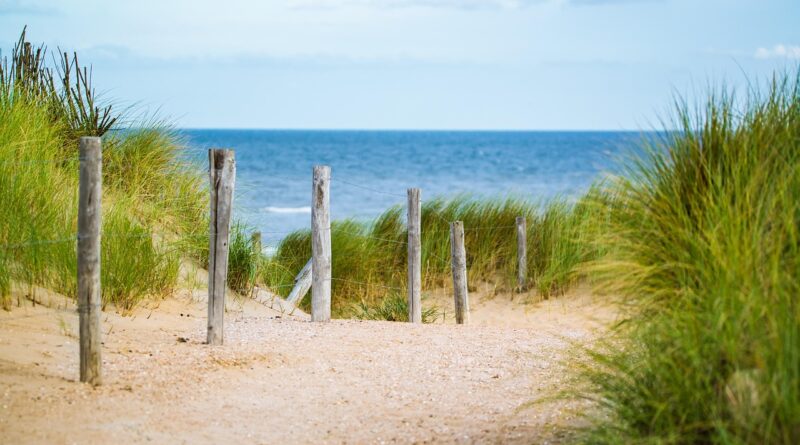 thin, sea, fence, water, vacation, north sea, nature, path, sand, beach, landscape, travel