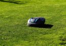lawn mower, battery mower, lawn mower robot, garden, nature, short, maintained, robotic lawnmower, automatically, autonomous, garden maintenance, electric, equipment, technology