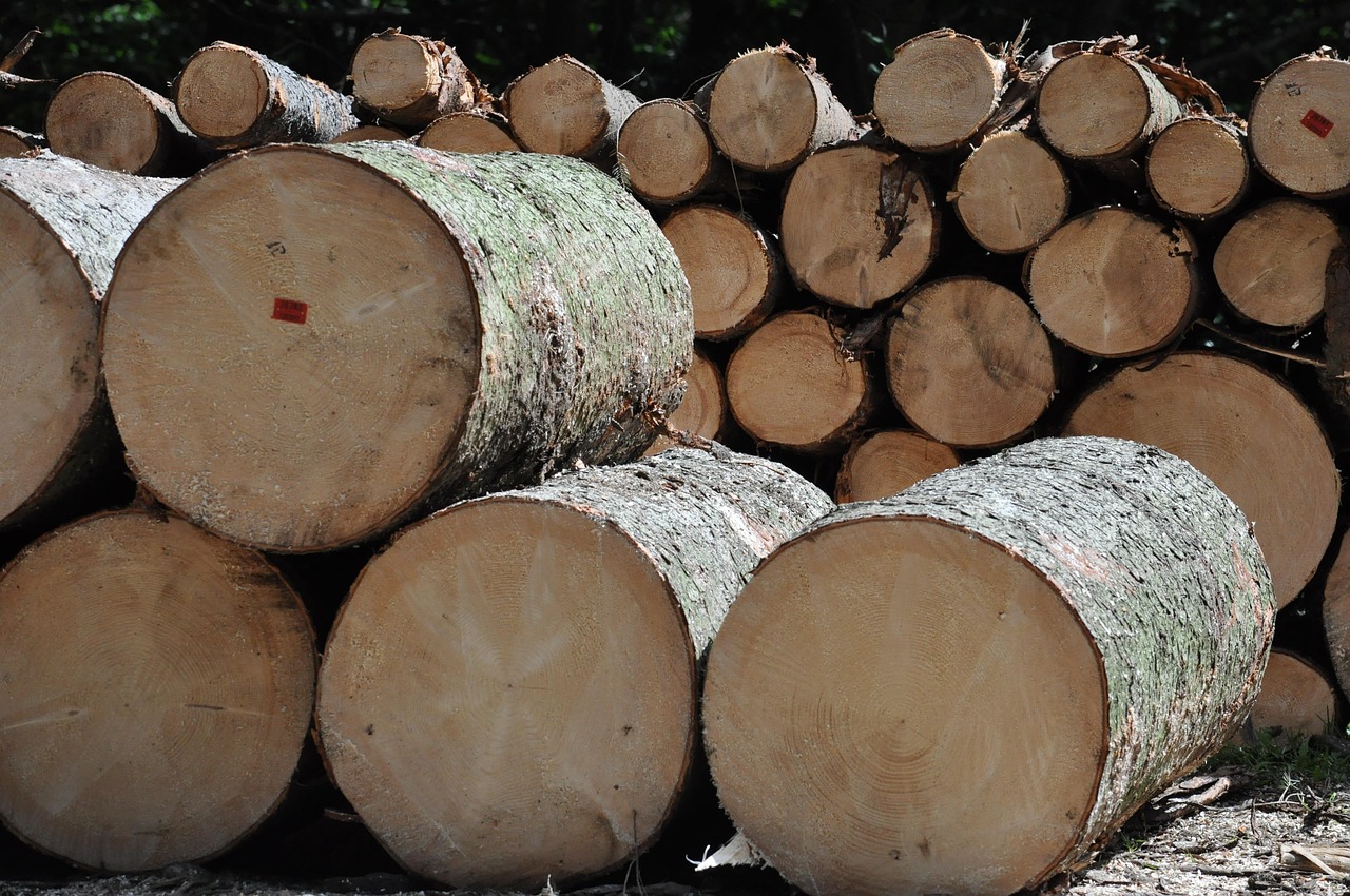 wood, tree, sawmill, fathom, nature, production, forest, clipping