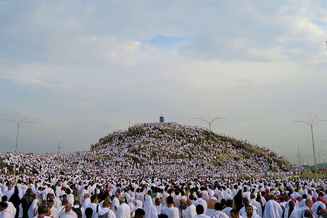 the crowd, people, the pilgrim's guide, nature, religion, sky, prayer, mecca, arafat, islam, muslim, gibraltar womb, waqfa