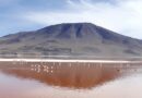 laguna, colorada, bolivia, bolivia, bolivia, bolivia, bolivia, bolivia