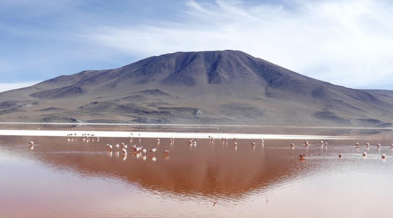 laguna, colorada, bolivia, bolivia, bolivia, bolivia, bolivia, bolivia