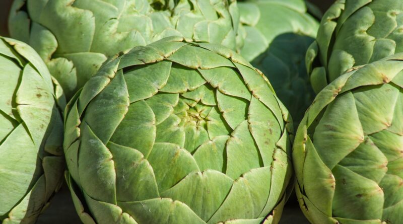artichokes, vegetable, market, power, agriculture