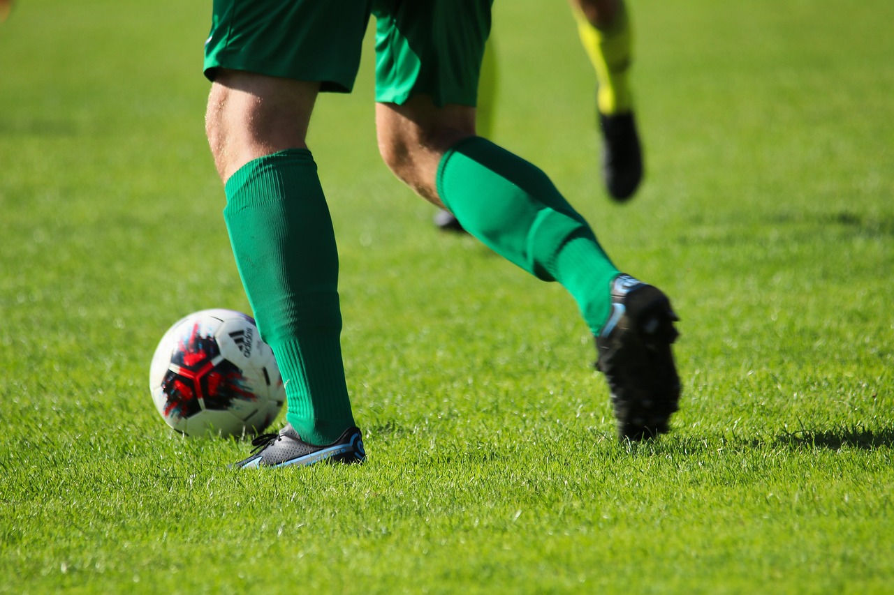 soccer, ball, sports, football player, ball guide, lawn, sports field