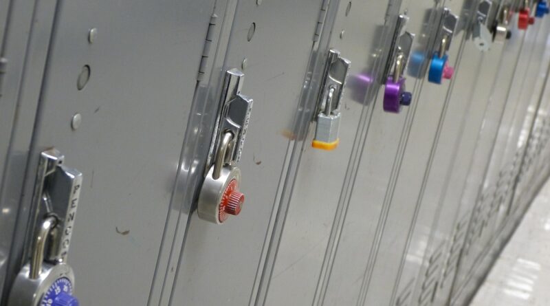 lockers, school, protect, store, hallway, combination, security, storage, education, safe, row, student, secure, box, unlock, padlock, cabinet, closed, corridor, belongings, number, protection, shut, highschool, hall, safety, compartment, privacy, lockerroom, interior, athletics, gray school, gray education, gray security, gray safety, gray numbers, gray interior, gray box, gray closed, lockers, lockers, lockers, highschool, highschool, highschool, highschool, highschool