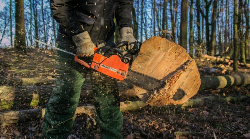 wood, chainsaw, tree, saw, forest, dangerous, woodworks, chain, nature, sawing, cut, risk, sharp, chainsaw, chainsaw, chainsaw, chainsaw, chainsaw