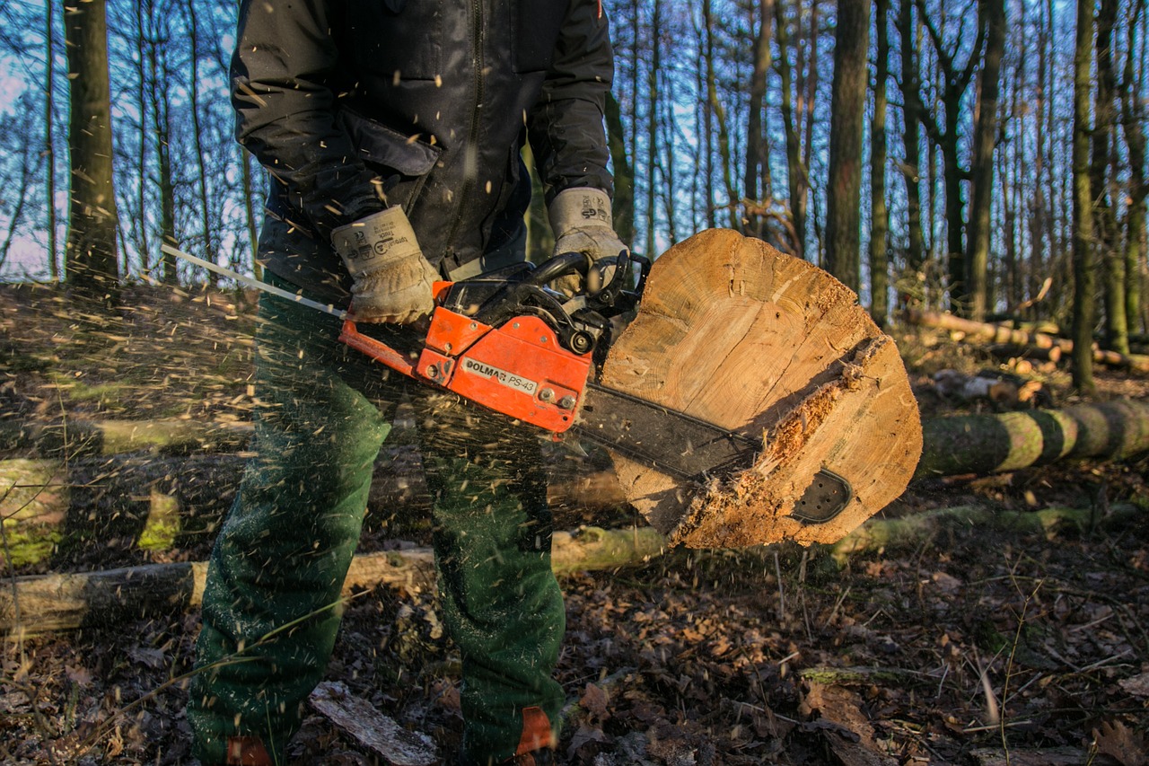 wood, chainsaw, tree, saw, forest, dangerous, woodworks, chain, nature, sawing, cut, risk, sharp, chainsaw, chainsaw, chainsaw, chainsaw, chainsaw