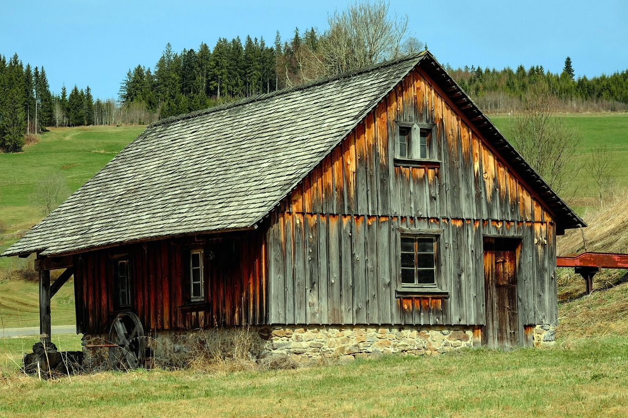 mill, black forest, farmer's mill, architecture, idyllic, romantic, scenic, forest, meadow, heaven, nature, germany, mill, mill, mill, black forest, black forest, black forest, black forest, black forest, forest, germany
