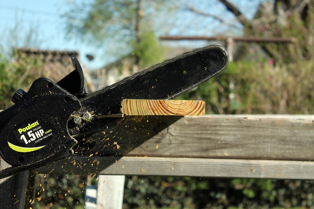 chain saw, cutting, action, work, sawing, wood, blade, sharp, cut, poulan, chain saw, chain saw, chain saw, chain saw, chain saw, poulan, poulan, poulan