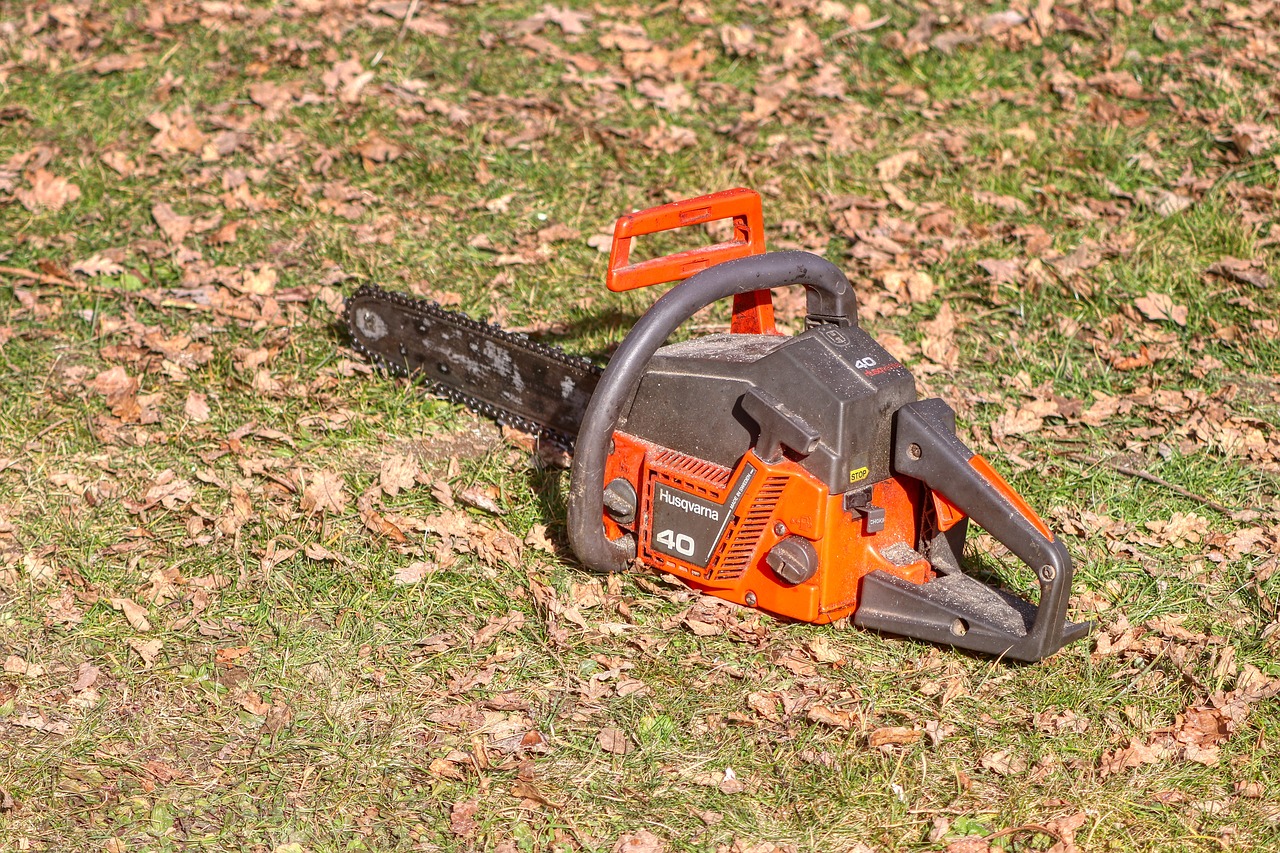 saw, tree, tool, wood, chainsaw, forest, woodwork, tree pruning, blade, nature, sharp, make wood, dangerous, felling