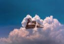 navy, nature, aircraft, jet, fighter, military, sky, flight, airplane, f14, fly, flying, pilot
