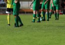 soccer, ball, sports, football, football player, ball guide, lawn, game, sports field, team, field, competition, soccer game
