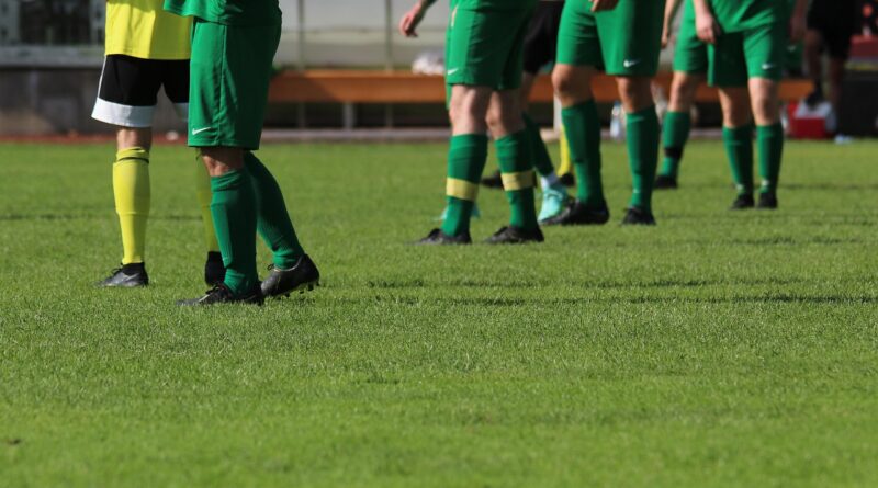 soccer, ball, sports, football, football player, ball guide, lawn, game, sports field, team, field, competition, soccer game