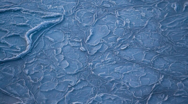 water, winter, ice, snow, pattern, flower, flower background, beautiful flowers, flower wallpaper, nature, blue, sea