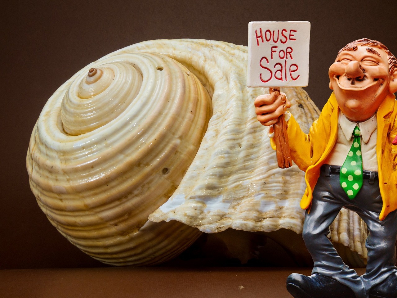 real estate agent, shell, selling, figure, fun, profession, necktie, commitment, man, service, house, sale