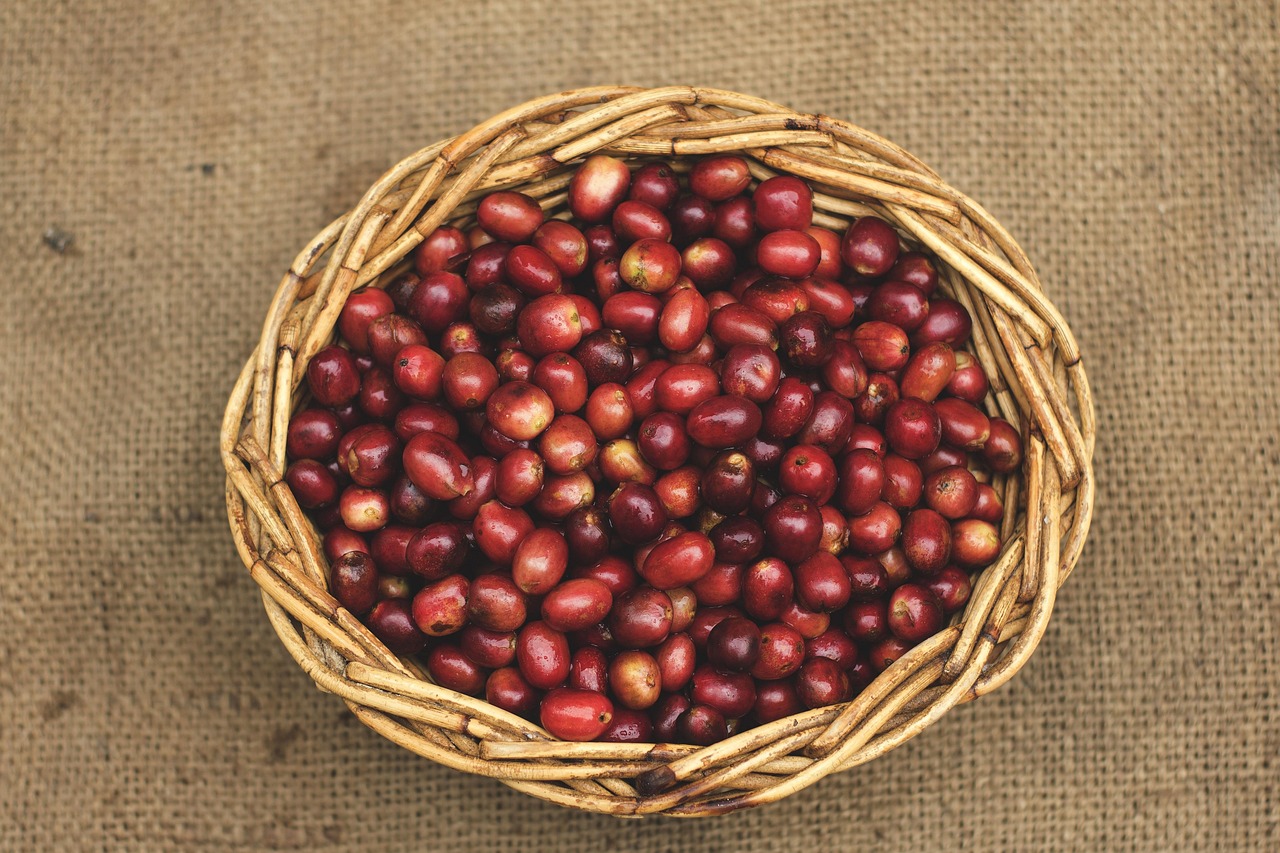 coffee, coffee beans, basket, woven basket, gayo coffee, red beans, sumatra coffee, top view, caffeine, coffee, coffee, coffee, coffee beans, coffee beans, coffee beans, coffee beans, coffee beans, basket, red beans