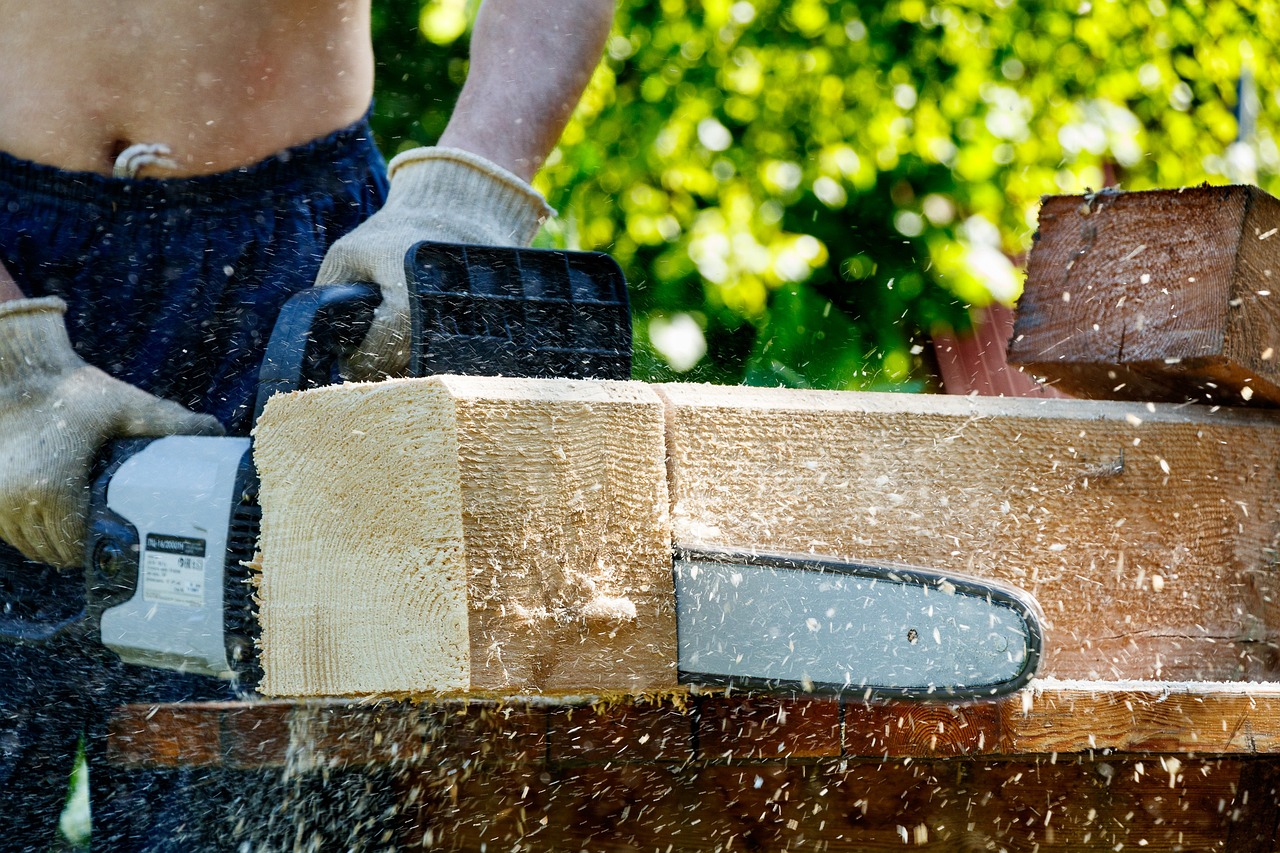 electric, logs, work, wood, dangerous, firewood, tool, blade, tree, sawdust, chain, nature, mills, stock, machine, garden, village