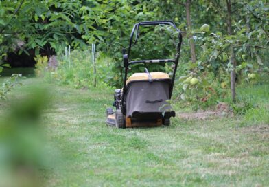 lawnmower, grass, lawn, garden, green, haircuts, meadow, nature, summer, machine, gardening, work, spring, gardener, equipment