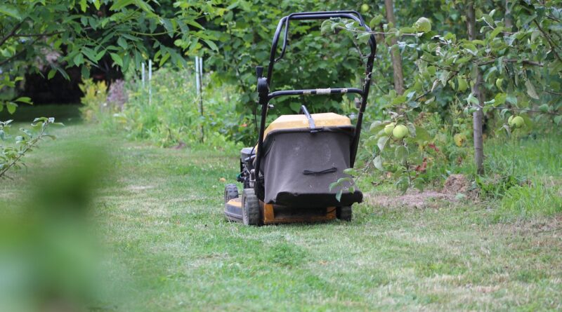 lawnmower, grass, lawn, garden, green, haircuts, meadow, nature, summer, machine, gardening, work, spring, gardener, equipment